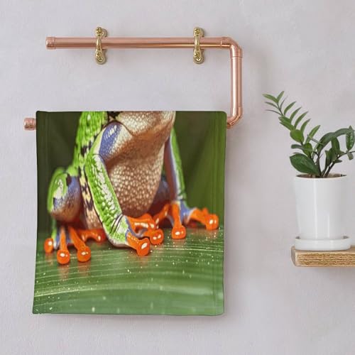 Gant de toilette grenouille doux pour peau sensible à la maison