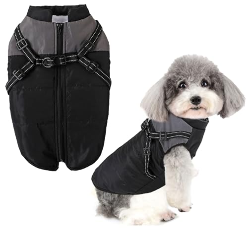 DICOCO   H~ n[lXt EȒP  h wJ  R[gps[TCYL ̕ h qiS-XXLjm[X[u hbOEFA  L h g  R[g ˃e[v [vnO\iO[AAXLj