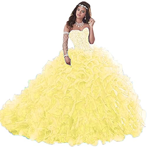 Gorgeous Heavy Beaded Organza Quinceanera Dress for Sweet 16 Princess Ball Gowns