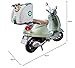 POW Pet Carrier Hundetransportbox für Hunde zur Befestigung auf dem Moped, Motorrad, Fahrrad und geeignet auch für das Auto