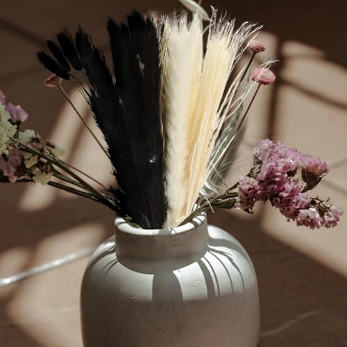 Ramo de Cañas Secas Preservadas para Decoración miniatura 5