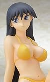 Azumanga Daioh swimsuit edition Sakaki (1/7 scale PVC Figure) (japan import)
