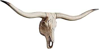 41HO2BQAkaL._AC_UF350,