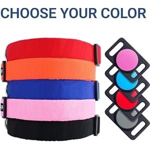 GoTags-Personalized-Dog-Collar-with-Custom-Engraved-AirTag-Adjustable-Dog-Collar-Pet-ID-Tag-Silent-No-Noise-Dog-Tag-for-Large-Medium-or-Small-Dogs-Black-Small - Cucciolini Doodles   GoTags-Personalized-Dog-Collar-with-Custom-Engraved-AirTag-Adjustable-Dog-Collar-Pet-ID-Tag-Silent-No-Noise-Dog-Tag-for-Large-Medium-or-Small-Dogs-Black-Small