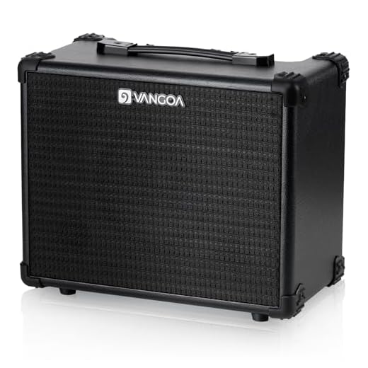 Vangoa Bass Guitar Amplifier 15W Portable Electric Bass Combo Amp Small for Bass Practice Amp Indoor Outdoor, Black