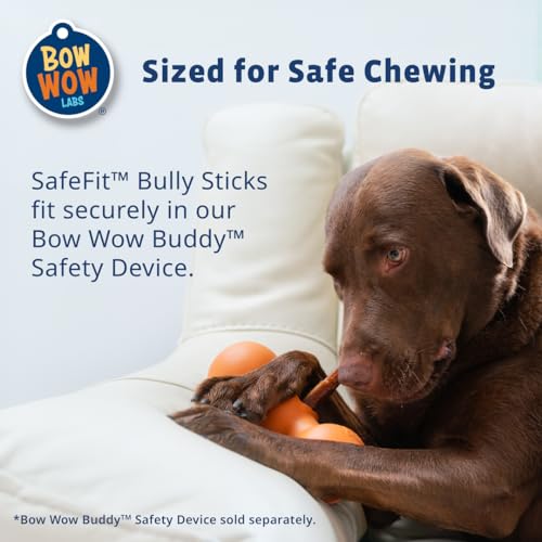 Bow Wow Labs 6\" Safe Fit 100% Beef Bully Sticks - 10 Pack (Midsize)
