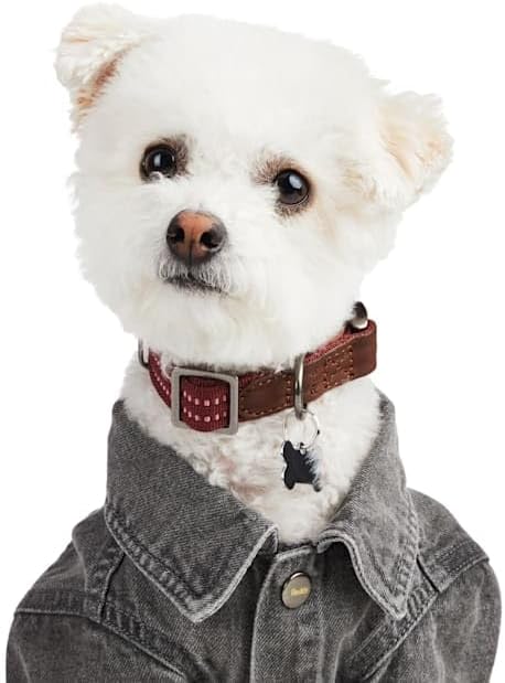 Reddy by Petco Denim Jacket for Dogs Grey Small