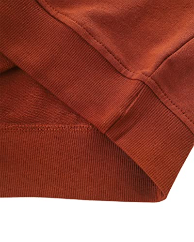 Toddler Boy's Cotton Crewneck Sweatshirt Long Sleeve Casual Pullover Shirts4