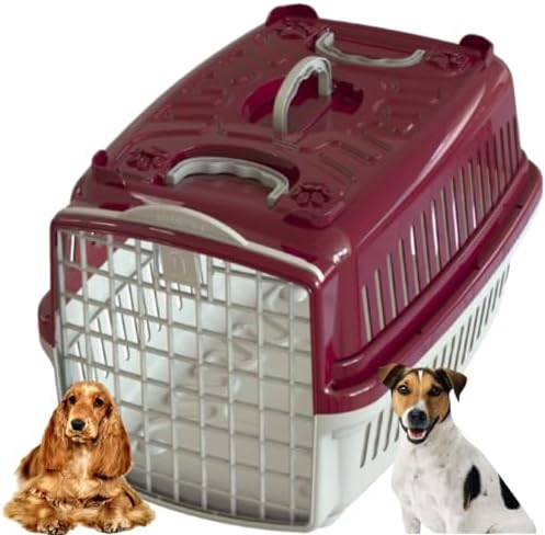 Caixa De Transporte N°4 Para Cachorro Médio Porte Avião Pet Shop ...