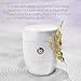 Tatcha The Rice Polish Classic | Daily Non-Abrasive Exfoliator for Combo to Dry Skin | 60 gr / 2.1 oz