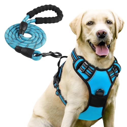 Pettorina Cane Taglia Media Regolabile,Riflettente Pettorina Cane Taglia Grande Controllo Facile Con Guinzaglio Libero e Resistente Per Cani Grandi(L)