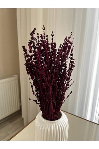 Ramo de flores de lavanda seca color ciruela, tamaño único miniatura 3