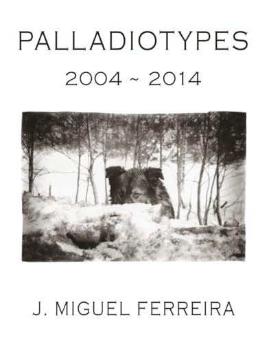 Palladiotypes 2004-2014 livre photo noir et blanc pour collectionneurs d'art photographique - 2
