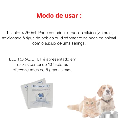 Eletrorade Pet 10 Saches