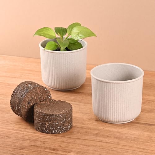 Image of Eha Earth Friendly Statement Pot 4 Inch Pots and Planters with Growmix |Set of 2| Table Top Planters for Gifting |Bamboo Based | Planter for Indoor & Balcony Window Flower Pots| Sand Castle