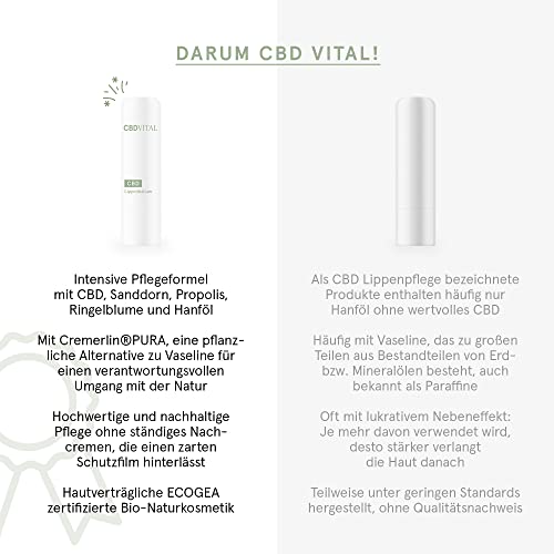 Lippenpflegestift CBDVITAL von VITRASAN – CBD Lippenpflege