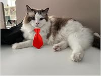 Vista 8 de 8 piezas de gafas de sol para mascotas, perro, gato, corbatín para mascotas, disfraz de mascota, collar formal ajustable para gatos, perros