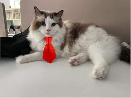 Miniatura 3 de Disfraz de 4 piezas para mascotas, perro, gato, corbatín para mascotas, collar formal ajustable para gatos, perros pequeños, accesorios de aseo para