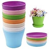 ❤ 【Ampliamente aplicable】 Las macetas son muy adecuadas para esquejes, cactus, suculentas, semillas, etc. Se colocan alrededor de la cocina, la oficina, el jardín, etc., lo que puede crear un efecto perfecto, vívido y colorido para el área opaca / habitación.