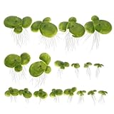 Lentilles d'eau flottantes artificielles - offrez de l'ombre à votre animal de compagnie bien-aimé pendant les chaudes journées d'été, également un bel ornement pour votre aquarium, lentilles d'eau artificielles