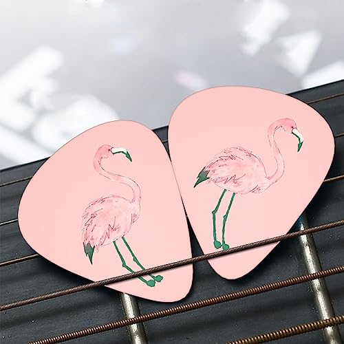 Lot de 12 médiators en forme de flamant rose pour guitare électrique et basse dans une boîte - Les Beatles, Paul McCartney, John Lennon, RIngo Starr, George Harrison Lot de 12 médiators en forme de flamant rose pour guitare électrique et basse dans une boîte – Image 8