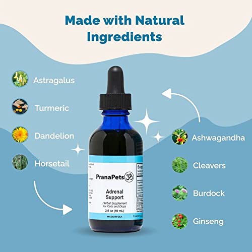 Prana Pets Lignans & Melatonin Naturally Aids In Relieving Symptoms Of Cushing's Disease In Dogs | Adrenal Health For Dogs | Naturally Relieves Symptoms Of Cushing's Disease In Dogs #TOP6