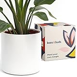 Bees & Buds 10 inch White Plant Pot - White Planters for Indoor Plants - Ceramic Planter Pots with Drainage - Mid Century Modern Large Flower Holder