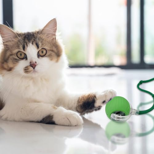 WinGluge 2 Stück Interaktives Katzenspielzeug Elektrisch - 360° Rolling Smart Ball, Automatischer Rollender Ball für Katzen (Rot+Grün)