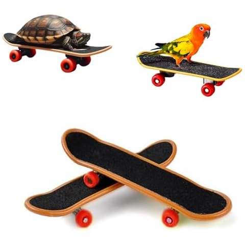 Intatikoo 2 Pcs Bird Toys Mini Skateboard Toys, Small Pets for Play and Training Toys Mini Walking Skateboards Budgies Reptiles Skateboards Cover