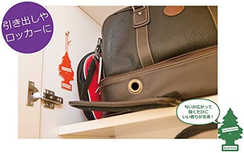 LITTLE TREES Car Air Freshener | Hanging Paper Tree for Home or Car | Summer Linen | 6 Pack Linen 6 Count (Pack of 1) image 6 of 7 B00RYG599A