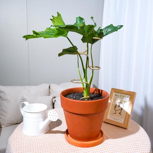 GOOOXIM 3PCS Indoor Plant Support – Durable Metal Garden Stakes for Monstera, Flowers & Herbs – 12.6 Inch Trellis for Indoor & Outdoor Plants, Easy-to-Use Support Structures by Goooxim - Image 5