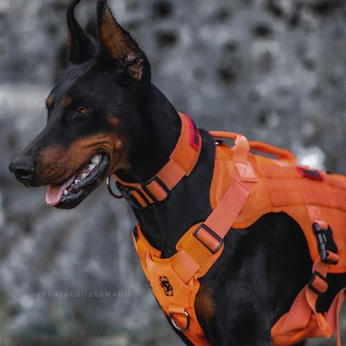 OneTigris No-Pull Hundegeschirr, AIRE MESH Einstellbar Sicherheitsgeschirr Ultra Atmungsaktiv für Große/Mittlere Hunde Brustgeschirr Hundeharness mit 2 Griffe Hundeweste