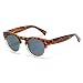 Vintage Inspired Mirror Lens Round Horned Rim Frame Retro Sunglasses (Tortoise Clear / Black Lens, 55)