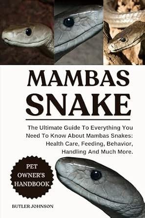 Visual Reference: Mambas Snake The Ultimate Guide To Everything You Need To