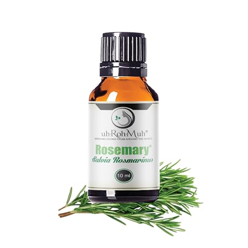 Organic Rosemary Essential Oil Chemotype Cineole | 100% Pure Steam Distilled Rosemary Oil | Fresh Herbaceous Aroma for Diffuser Aromatherapy, Massage Blends & DIY Recipes | Spain – 10ml