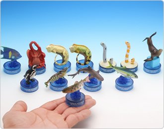 Amazon.co.jp: 海洋堂 日本水族館立体生物図録 第6巻 1．チンアナゴ