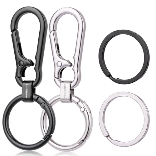LUCKINEE 2 Pack Metal Keychains, Key Chain with Carabiner Clip, Key Ring and Spring O Ring, Anti-Lost Quick Release Key Clip for Purse, Car Keychain, Small Arts, Lanyard, Suitable for Men and Women