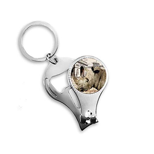 Clé à ongles de construction haut de gamme style européen esthétique Paris