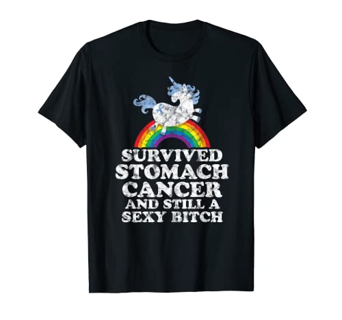 Sobrevivió al cáncer de estómago sigue siendo una perra sexy unicornio arco iris Camiseta