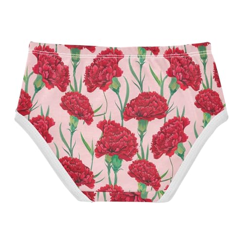 Joisal Colorful Toddler Girls Underwear 2t Cotton Panties Little Girl Red Carnation Flowers Pink Briefs Underpants2