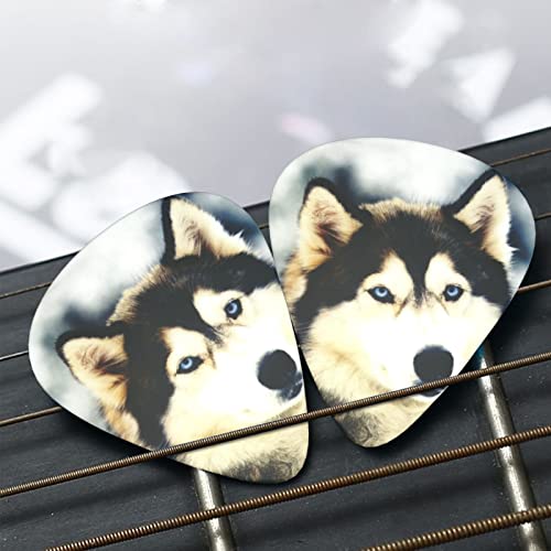 Médiators de guitare Pack de 12 médiators Husky sibérien pour guitare électrique Guitare acoustique Diverses guitares - Les Beatles, Paul McCartney, John Lennon, RIngo Starr, George Harrison Médiators de guitare Pack de 12 médiators Husky sibérien pour guitare électrique Guitare acoustique Diverses guitares – Image 7