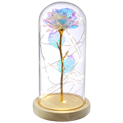 BEFINR Beauty and The Beast Rose Enchanted Flower with LED Light in Glass