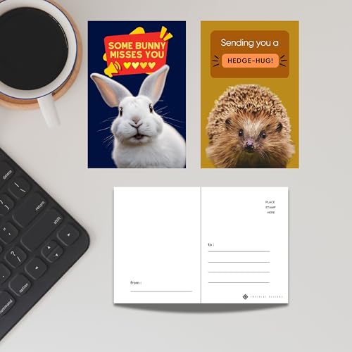 image for Imperial Designs 40 Pack Funny Punny Postcards - Say I Miss You, Hello