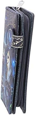 Nemesis Now B4864P9 Lisa Parker Fairy and Owl Purse 18.5cm, PU, Black, One Size