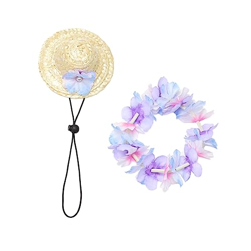 Toyvian 1 ZbgnCAXybgXq p  Œ  r[`p