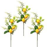 Asodomo 221108LW03-2333-31-1815282751