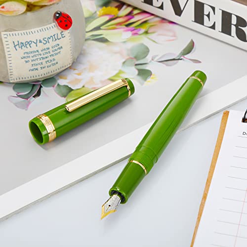 Colarr 5 Pcs Resin Fountain Pen Iridium Fine Nib Classic Pen With Converter Golden Clip Smooth Writing Pen For Home Office School Supplies, 5 Colors #TOP5