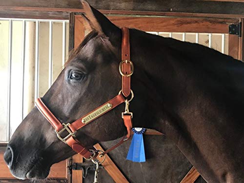 Grewal Equestrian Triple Stitched Leather Halters (Longdon Gold, Full)