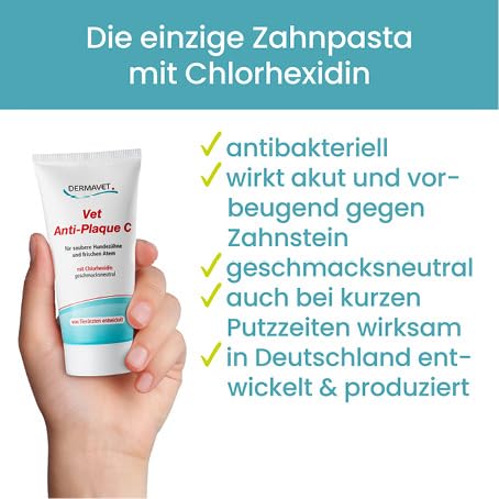 Katzenzahnpasta von DERMAVET mit Lavapirox für gesunde Zähne