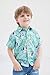 Bluey Toddler Boys Hawaiian Button Down Dress Shirt 2T